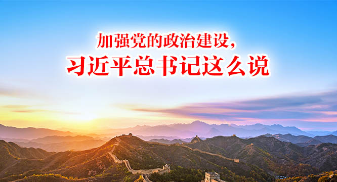 加强党的政治建设，习近平总书记这么说