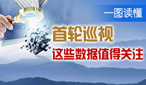 【一图读懂】首轮巡视这些数据值得关注