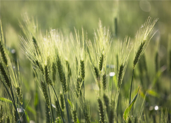 【纪检人镜头】红紫妆林绿满池