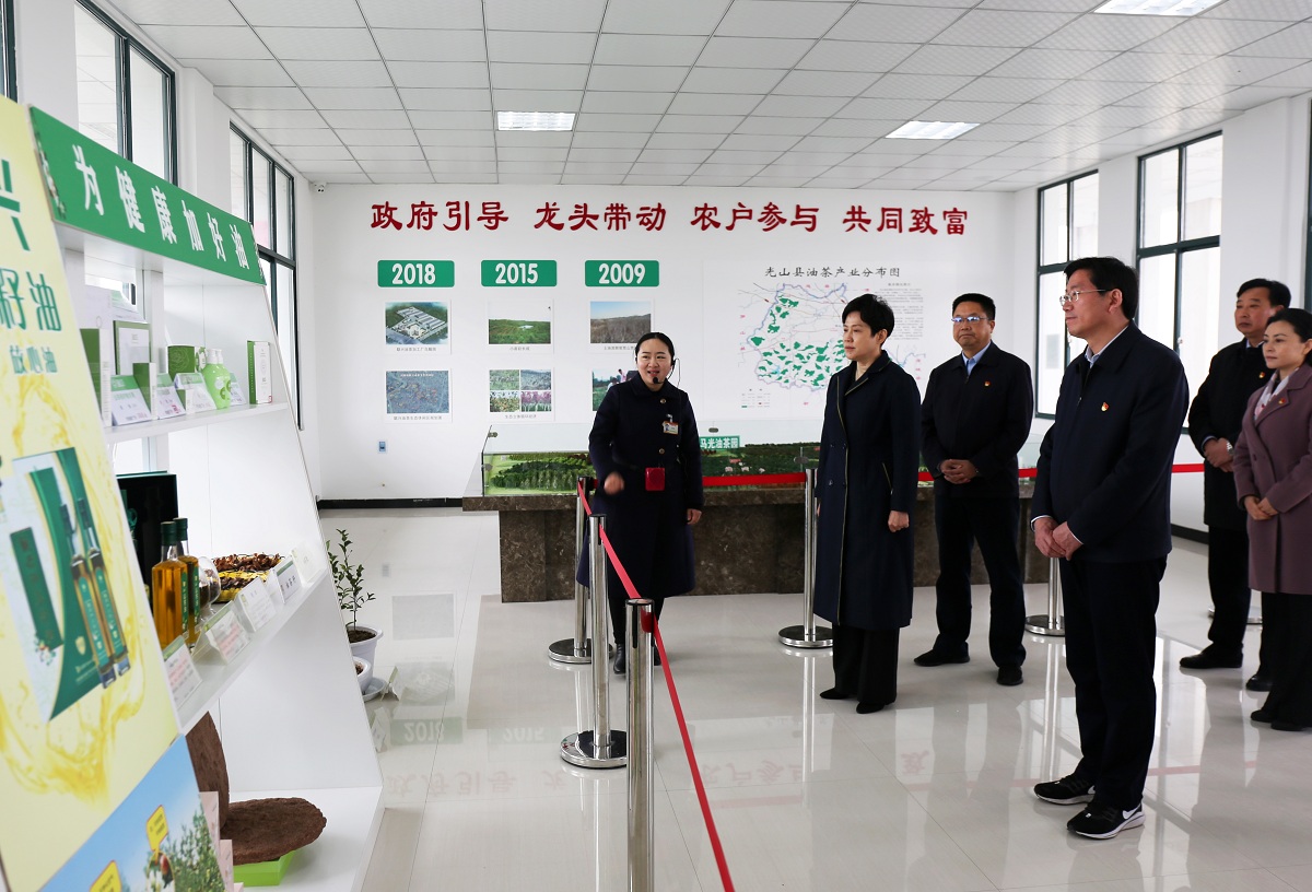 曲孝丽在信阳调研时强调<br>抓实党史教育 传承红廉基因<br>监督保障重大决策部署落地见效