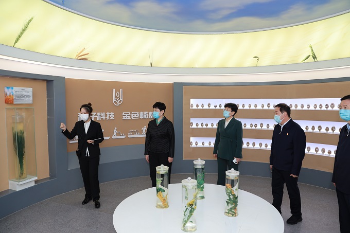 曲孝丽在焦作调研时强调<br>充分发挥职能作用 服务保障省党代会各项部署落地见效