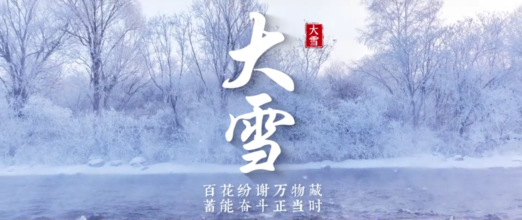 大雪 | 百花纷谢万物藏 蓄能奋斗正当时