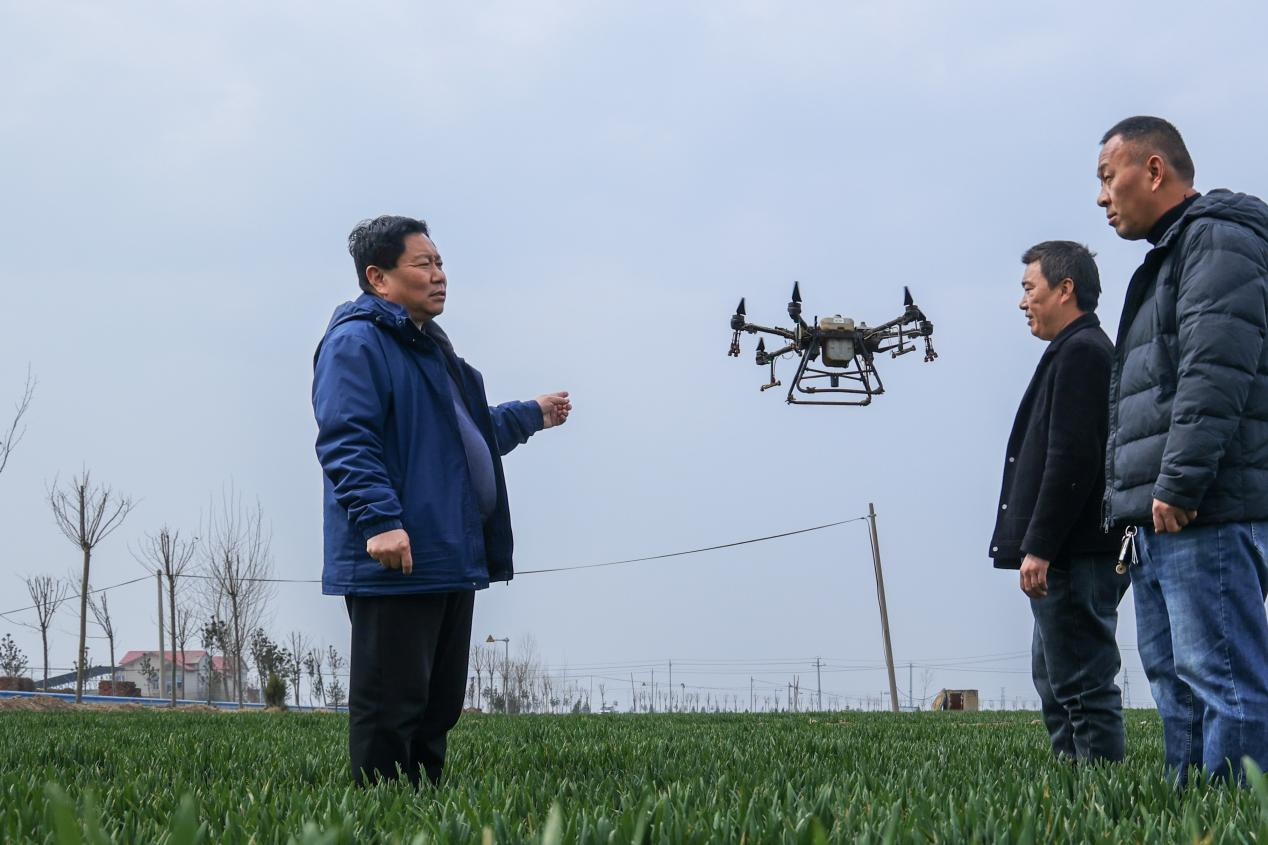 镜头丨田间地头护春耕