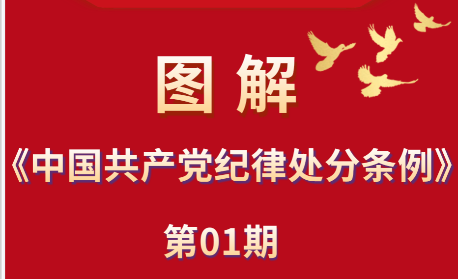 纪律教育丨图解《中国共产党纪律处分条例》①