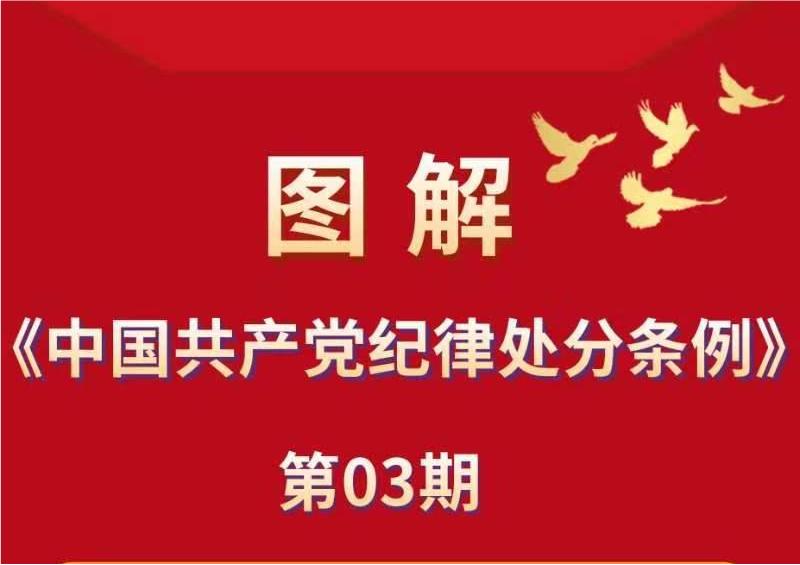 纪律教育丨图解《中国共产党纪律处分条例》③