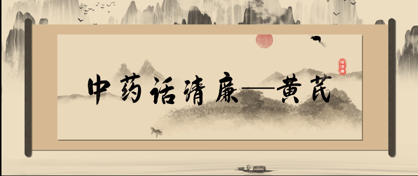 清风廉韵丨中药话清廉:黄芪