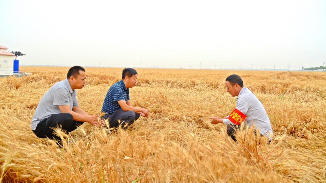 镜头丨监督护航“三夏”生产