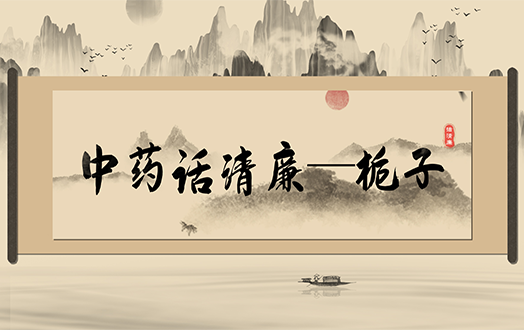 清风廉韵丨中药话清廉:栀子