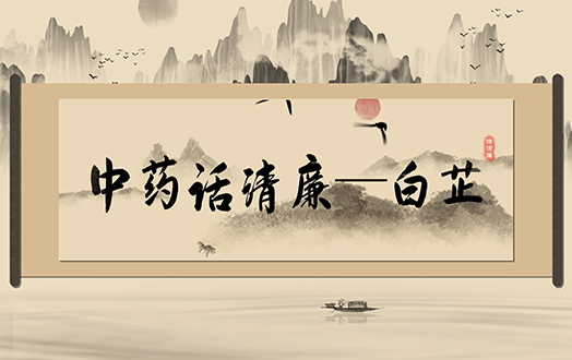 清风廉韵丨中药话清廉:白芷