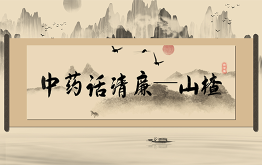清风廉韵丨中药话清廉:山楂