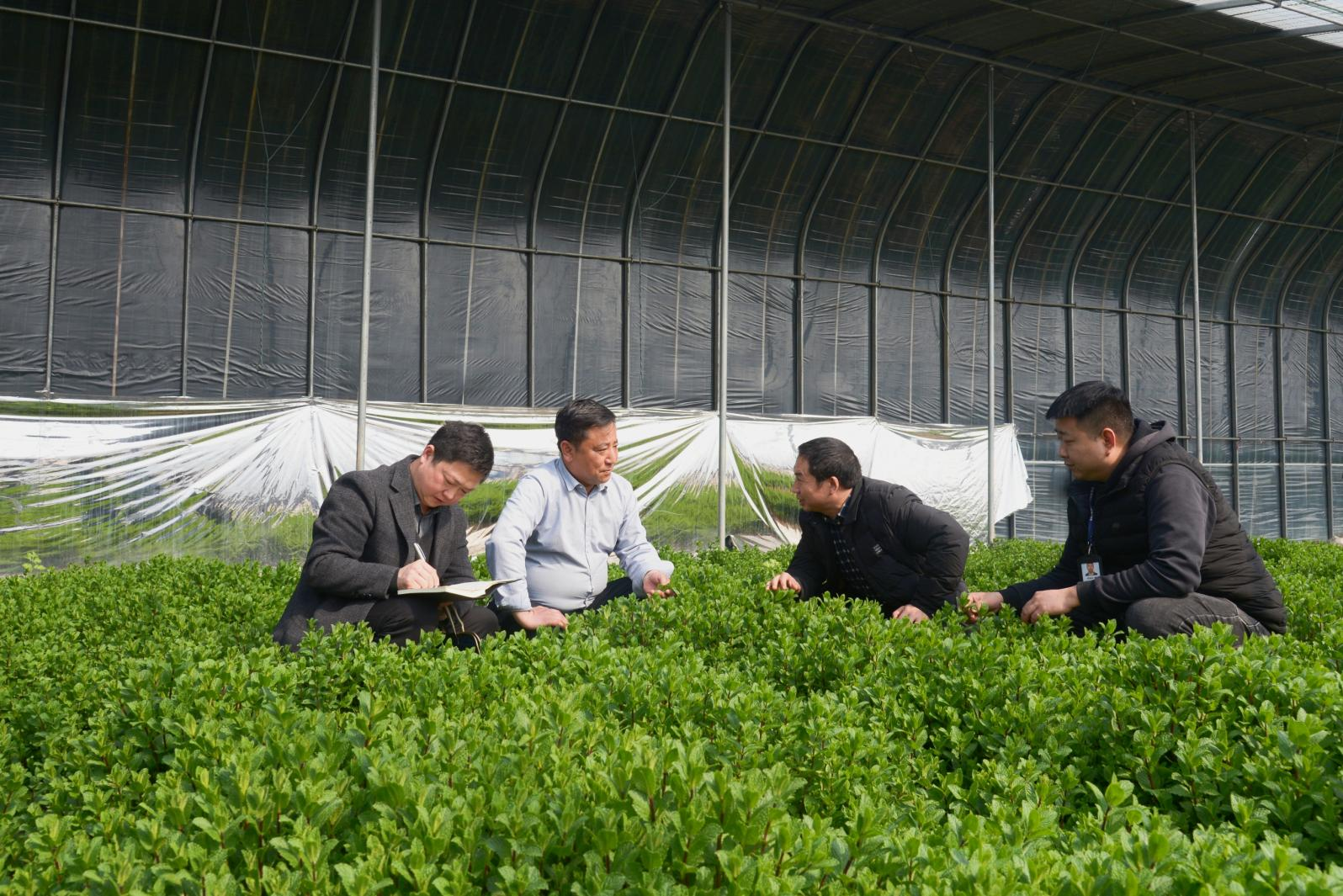 镜头丨春启新程 纪检先行