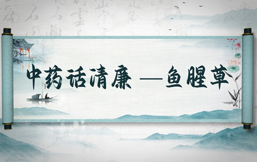清风廉韵丨中药话清廉:鱼腥草