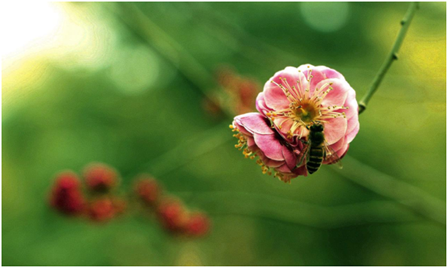 【省纪委监委网站】节气“春分”