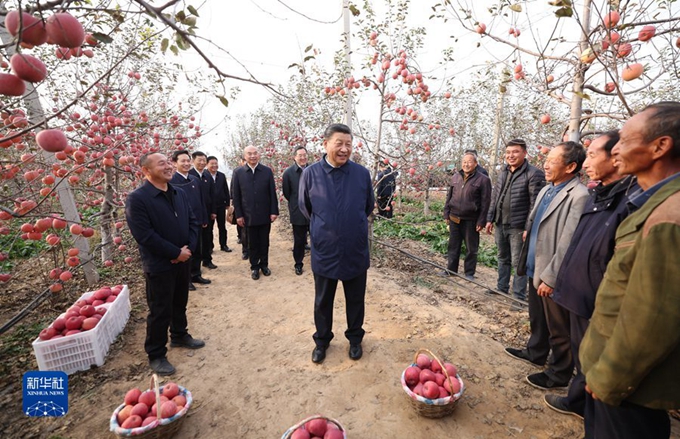 习近平在陕西延安和河南安阳考察时强调  全面推进乡村振兴 为实现农业农村现代化而不懈奋斗 