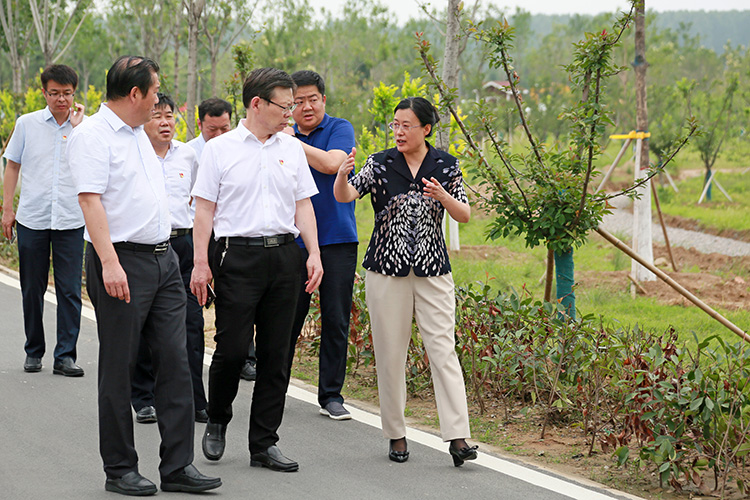方婷在调研河长制落实和防汛工作时要求 做足防汛准备 确保安全度汛