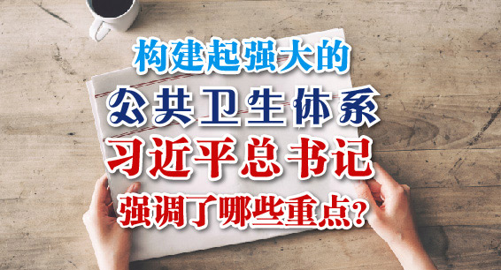 构建起强大的公共卫生体系，习近平总书记强调了哪些重点