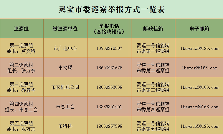 灵宝市：对市广电中心等5家单位开展巡察