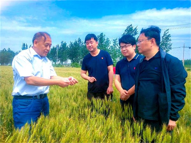 【中央纪委国家监委网站】【纪检人镜头】 美丽乡村 幸福家园